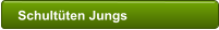 Schultüten Jungs